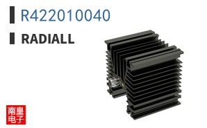 R422010040 ͼƬ
