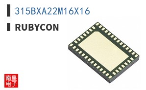 315BXA22M16X16 ͼƬ