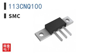 113CNQ100 ͼƬ