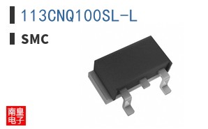 113CNQ100SL-L ͼƬ