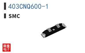 403CNQ600-1 ͼƬ
