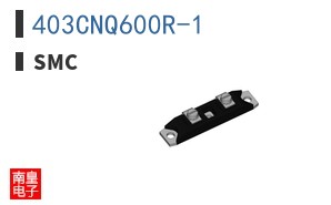 403CNQ600R-1 ͼƬ