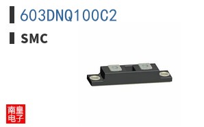 603DNQ100C2 ͼƬ