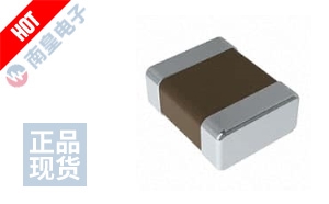 CIGW252010GM1R0SNE ͼƬ
