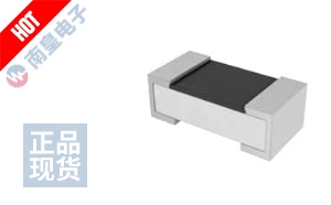 RC0402F103CS ͼƬ