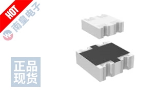 RN102PJ300CS ͼƬ