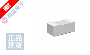 RU1005FR068CS ͼƬ