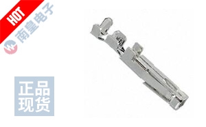 CC69L-2024-01-T-SP ͼƬ