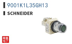 9001K1L35GH13 ͼƬ