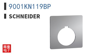 9001KN119BP ͼƬ