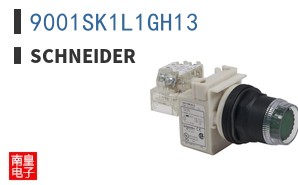 9001SK1L1GH13 ͼƬ
