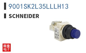 9001SK2L35LLLH13 ͼƬ