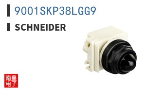 9001SKP38LGG9 ͼƬ