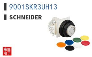 9001SKR3UH13 ͼƬ
