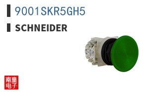 9001SKR5GH5 ͼƬ