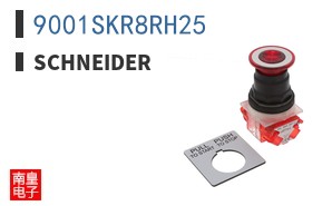9001SKR8RH25 ͼƬ