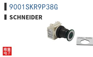 9001SKR9P38G ͼƬ