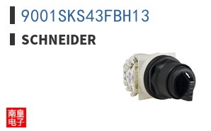 9001SKS43FBH13 ͼƬ