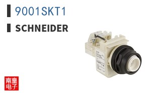 9001SKT1 ͼƬ