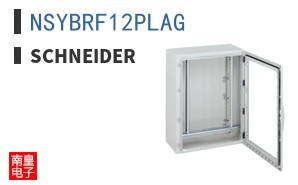 NSYBRF12PLAG ͼƬ