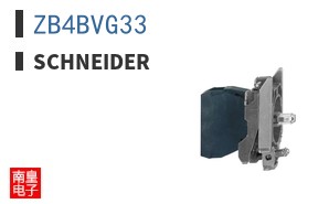 ZB4BVG33 ͼƬ