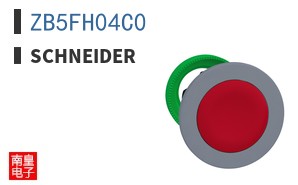 ZB5FH04C0 ͼƬ