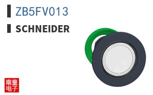 ZB5FV013 ͼƬ