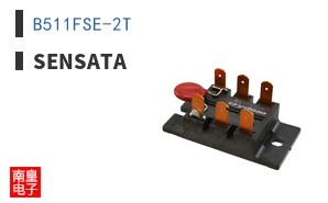 B511FSE-2T ͼƬ