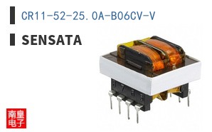 CR11-52-25.0A-B06CV-V ͼƬ