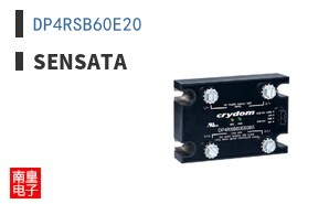 DP4RSB60E20 ͼƬ