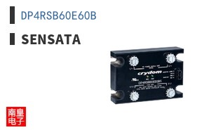 DP4RSB60E60B ͼƬ