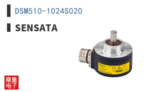 DSM510-1024S020 ͼƬ