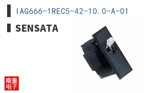 IAG666-1REC5-42-10.0-A-01 ͼƬ