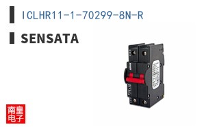 ICLHR11-1-70299-8N-R ͼƬ