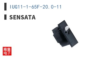 IUG11-1-65F-20.0-11 ͼƬ