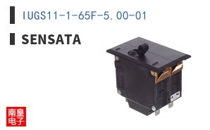 IUGS11-1-65F-5.00-01 ͼƬ