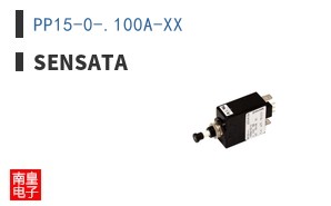 PP15-0-.100A-XX ͼƬ