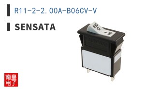 R11-2-20.0A-B06CV-V ͼƬ