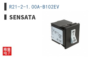 R21-2-1.00A-B102EV ͼƬ