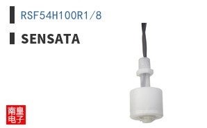 RSF54H100R1/8 ͼƬ