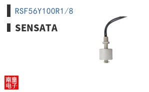 RSF56Y100R1/8 ͼƬ