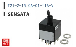 T21-2-15.0A-01-11A-V ͼƬ