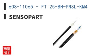 608-11065 - FT 25-BH-PNSL-KM4 ͼƬ