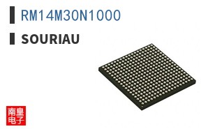 RM14M30N1000 ͼƬ