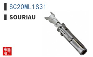 SC20ML1S31 ͼƬ