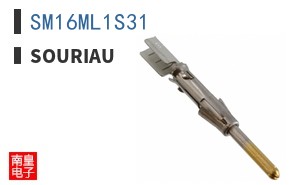 SM16ML1S31 ͼƬ
