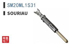 SM20ML1S31 ͼƬ