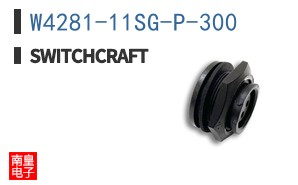 W4281-11SG-P-300 ͼƬ