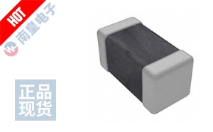 B57351V5223J060 ͼƬ