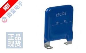 B72240L0461K100 图片